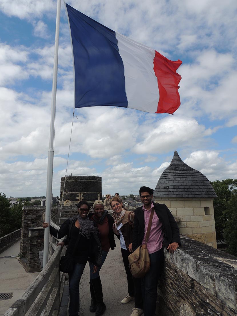 Angers Castle Flag